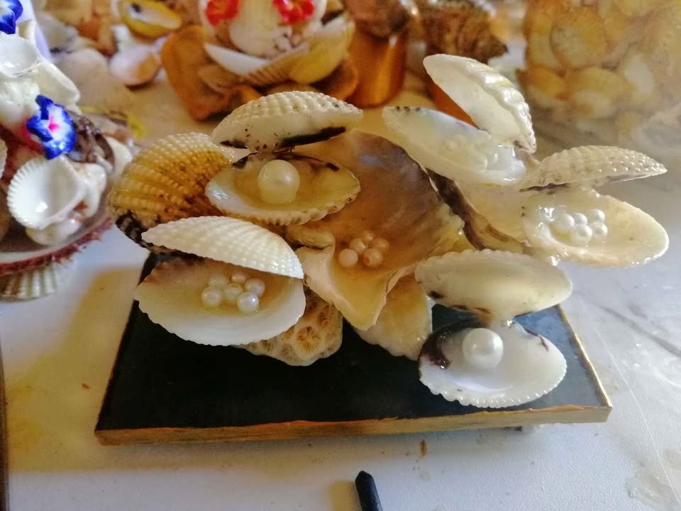 Sea SHells Souvenirs
